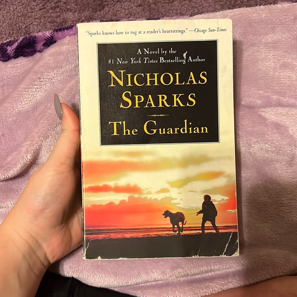Nicholas Sparks Bundle books 2/$8 3/$10